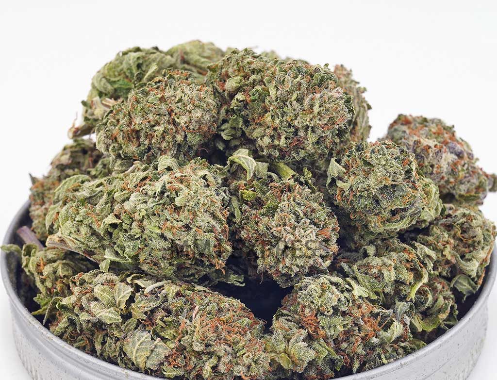 Mystery Batch