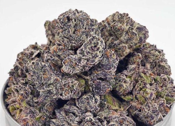 Black Truffle
