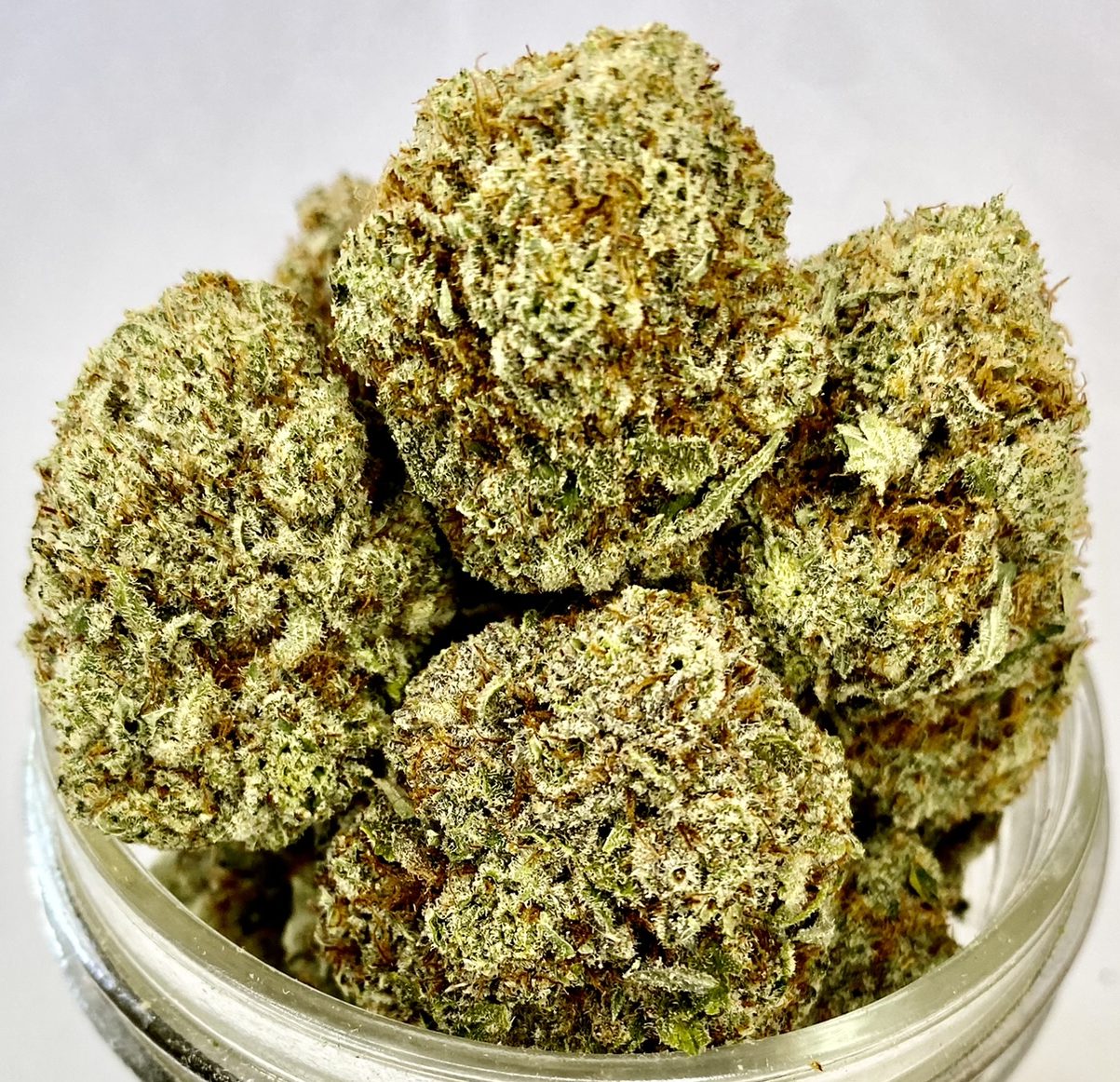 Abusive OG