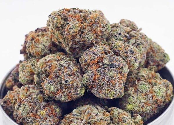 Mendo Cookies